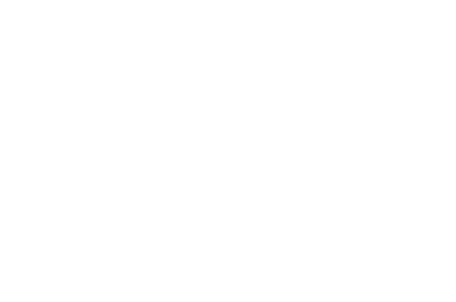 المنفذ المثالي